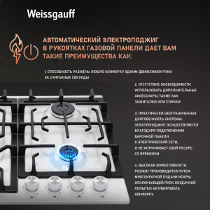   Weissgauff HGG 641 WEB